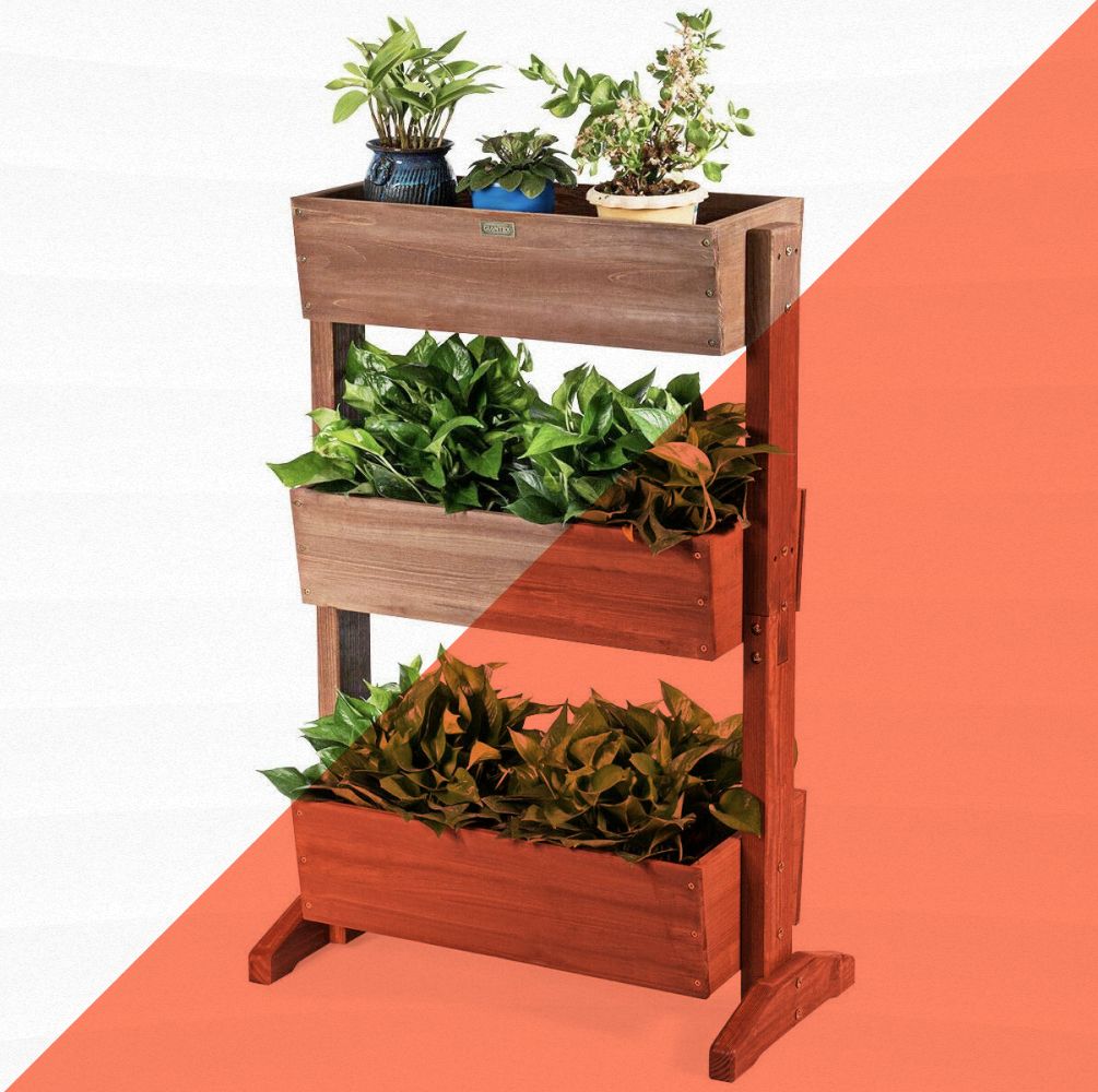 These Vertical Gardens Are a Plant Lover's Dream