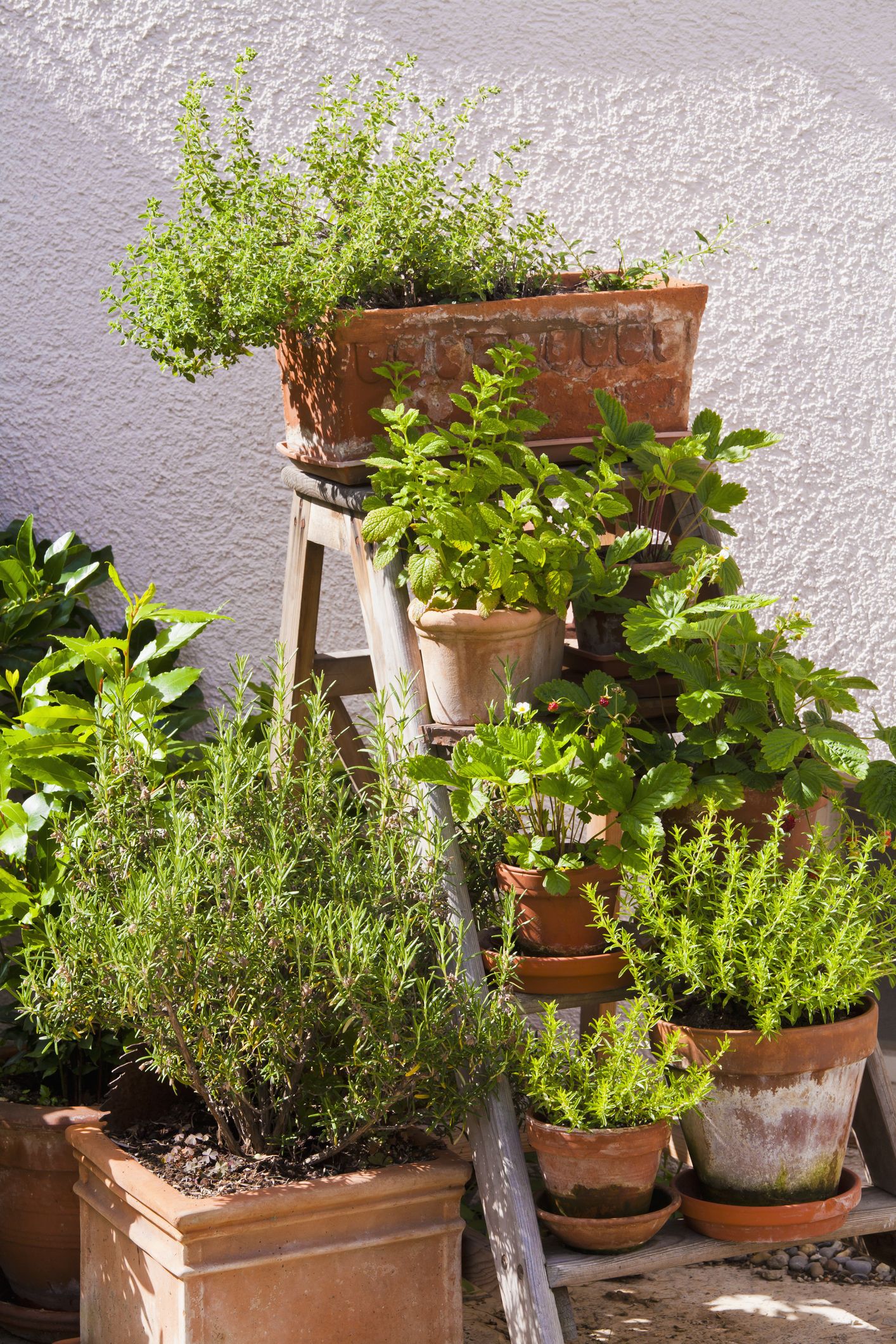 18 Best DIY Vertical Garden Ideas, Systems & Designs of 18