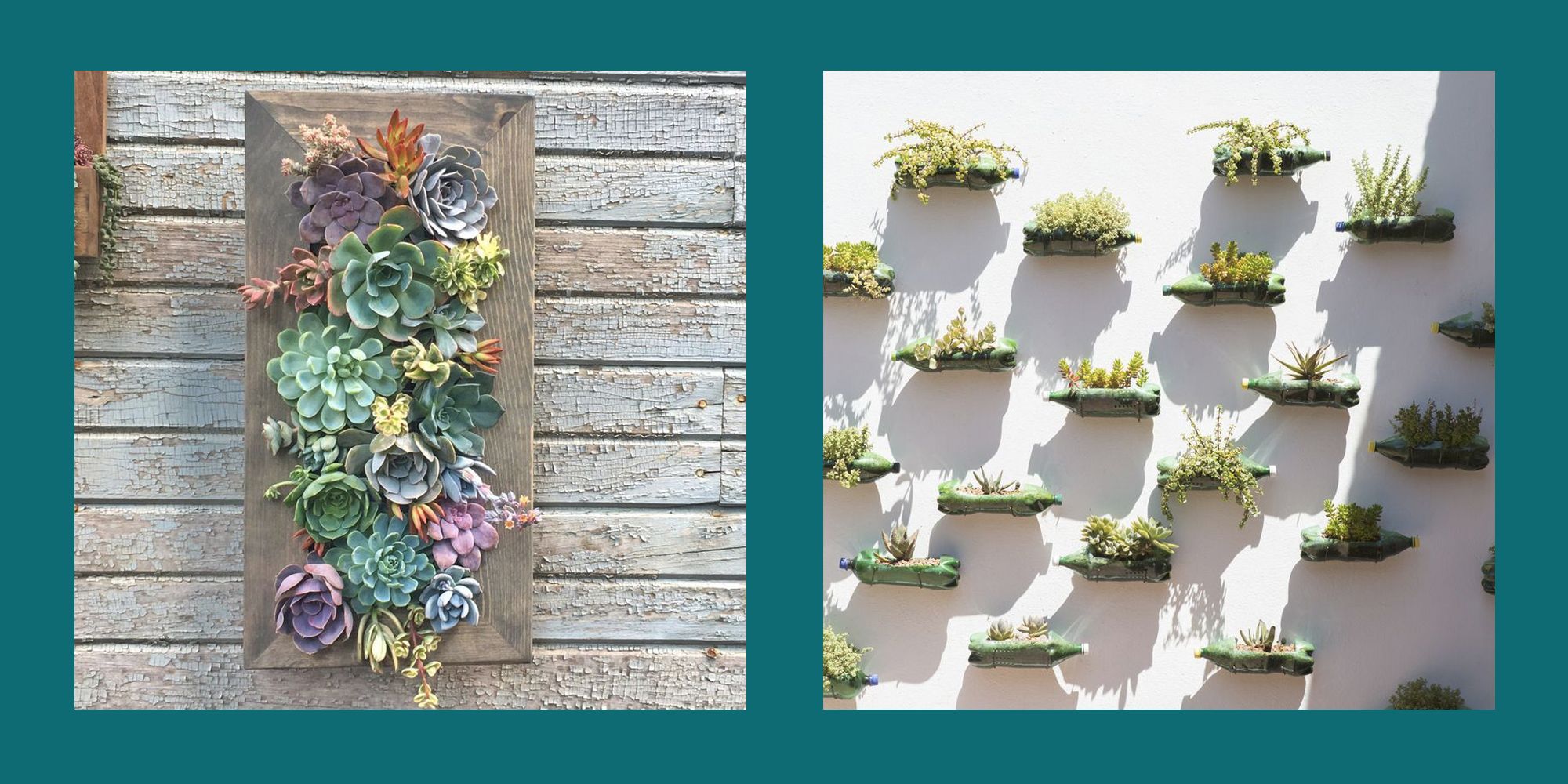 20 Brilliant Vertical Garden Ideas Interesting Vertical Garden