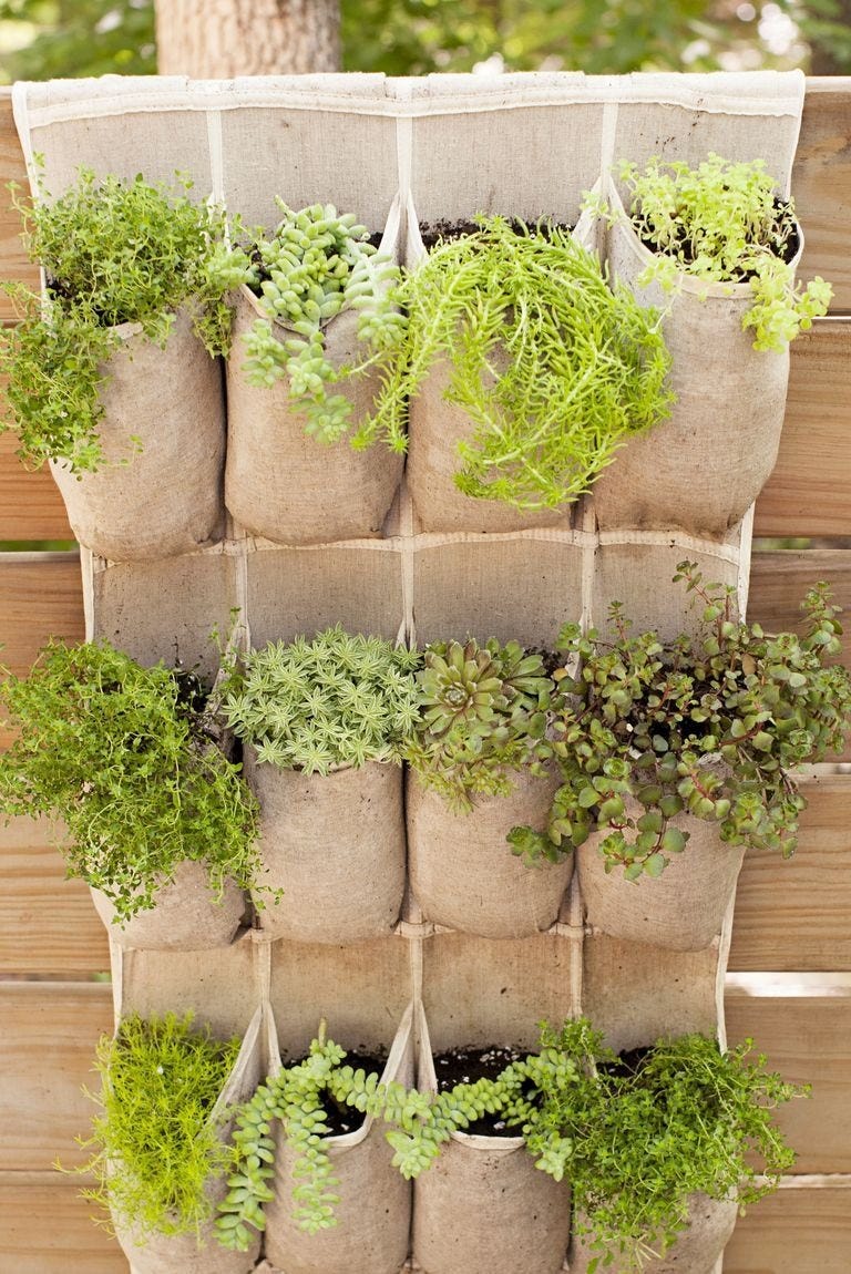 35 Best DIY Vertical Garden Ideas, Systems & Designs of 2023