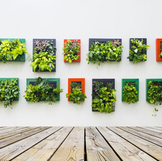 35 Creative Ways To Plant A Vertical Garden How To Make A