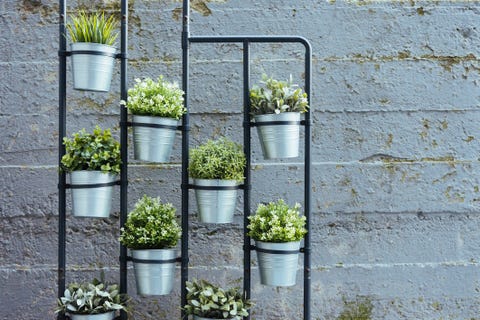 vertical herb garden standing in a confined urban space