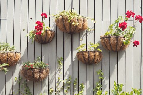 20 Brilliant Vertical Garden Ideas Interesting Planters - Wall Trough Planting Ideas