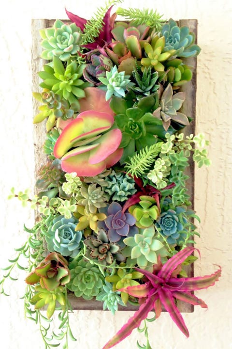 12 unique container gardening