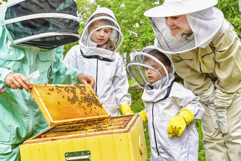 victoria de suecia con sus hijos estela y oscar haciendo de apicultores