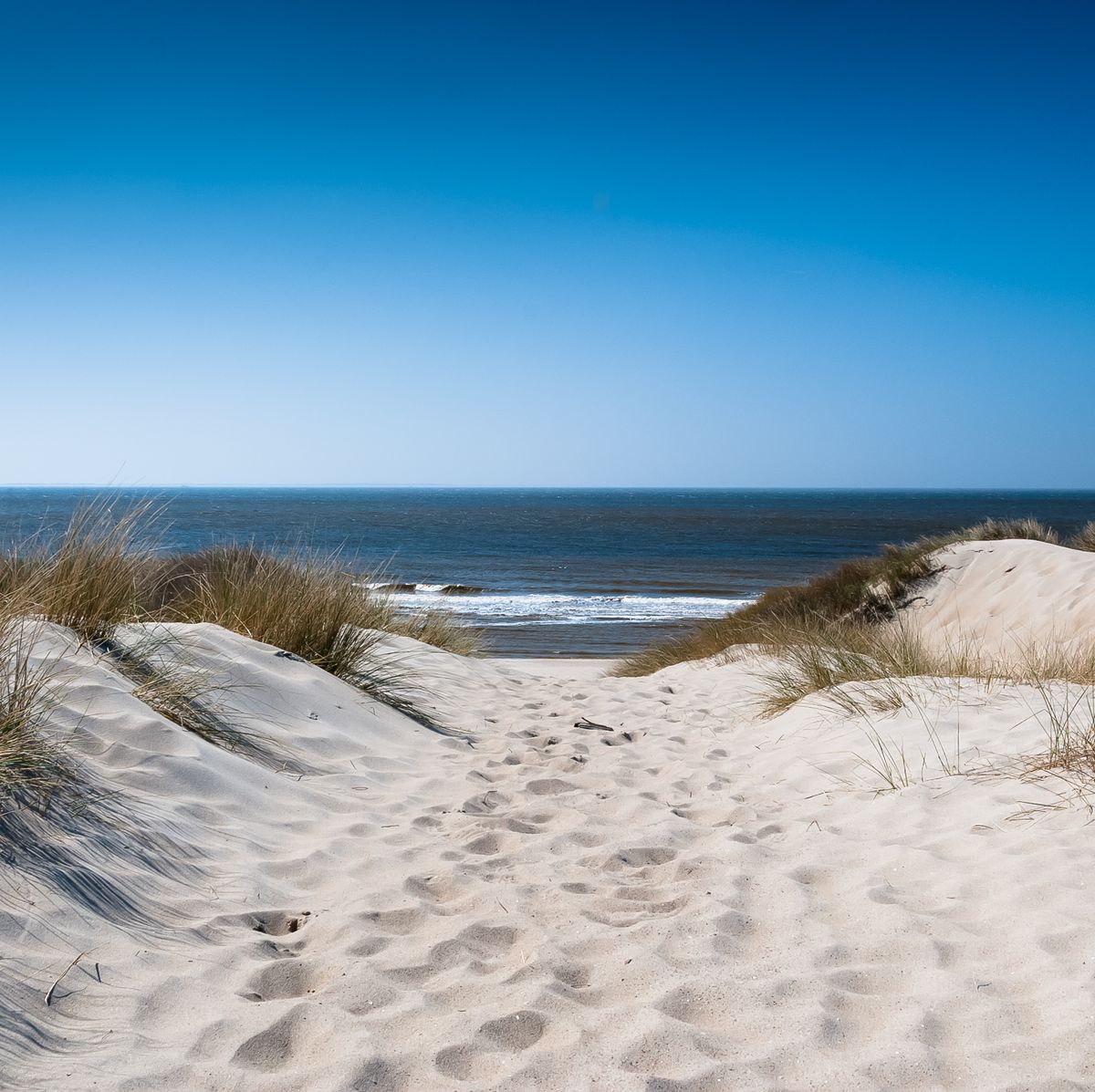 Fokken Smederij landheer De 8 leukste stranden in Nederland