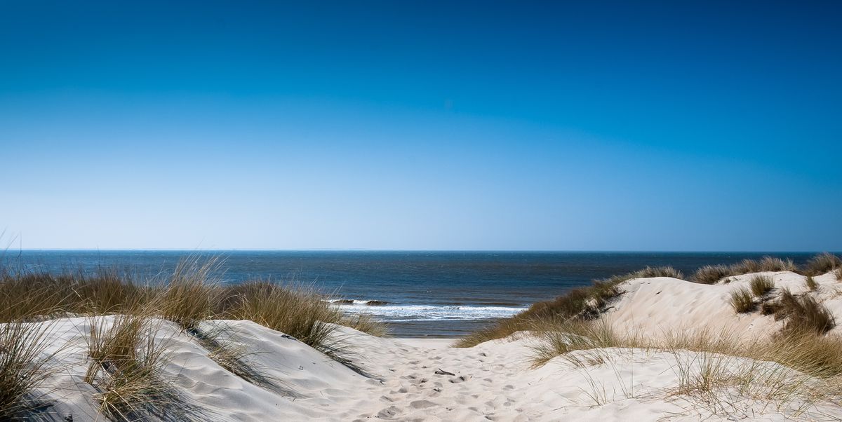 Incarijk altijd projector De 8 leukste stranden in Nederland