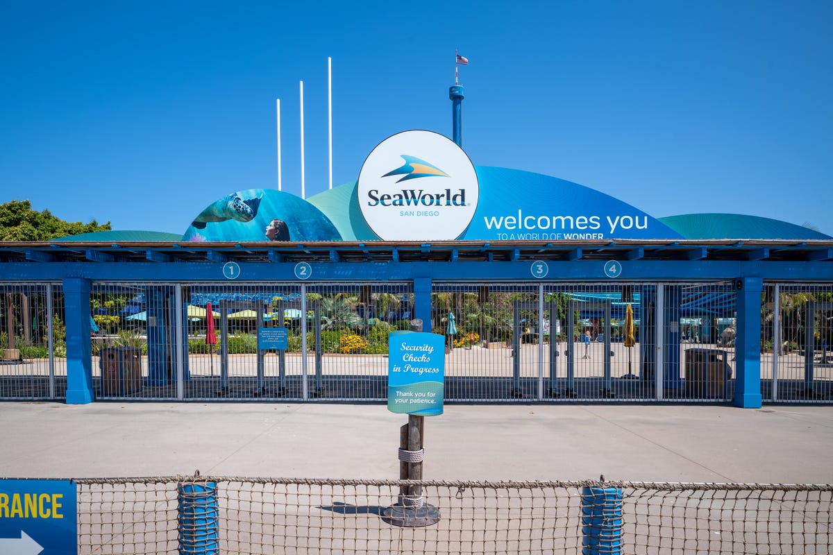 SeaWorld Allowed Reopen In California As A Zoo Amid COVID-19