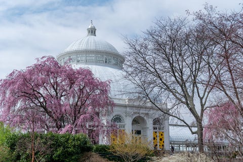 enid a haupt conservatory nybg new york botanical garden