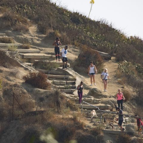 things to do in los angeles — hike runyon canyon
