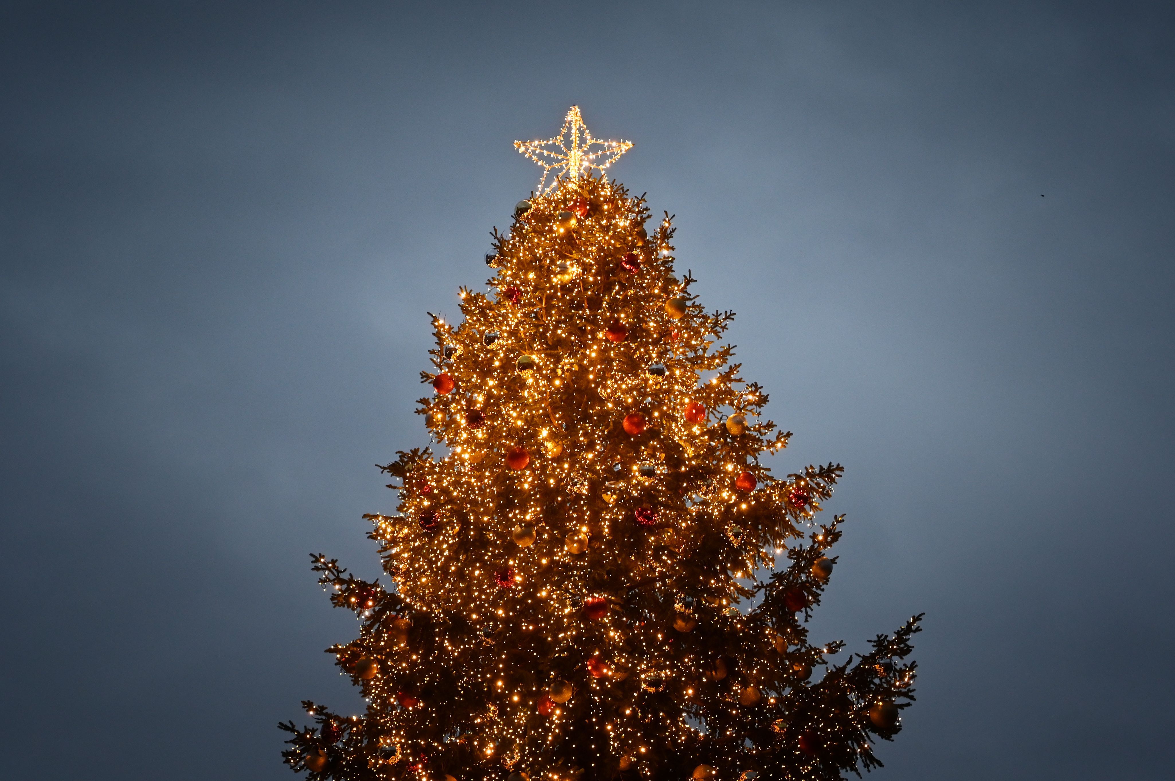 Foto Degli Alberi Di Natale Piu Belli - Immagini Natalizie Occhiali