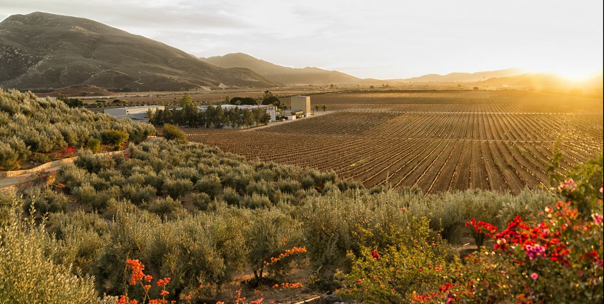 The 8 Best Under-the-Radar Travel Destinations for Wine Lovers