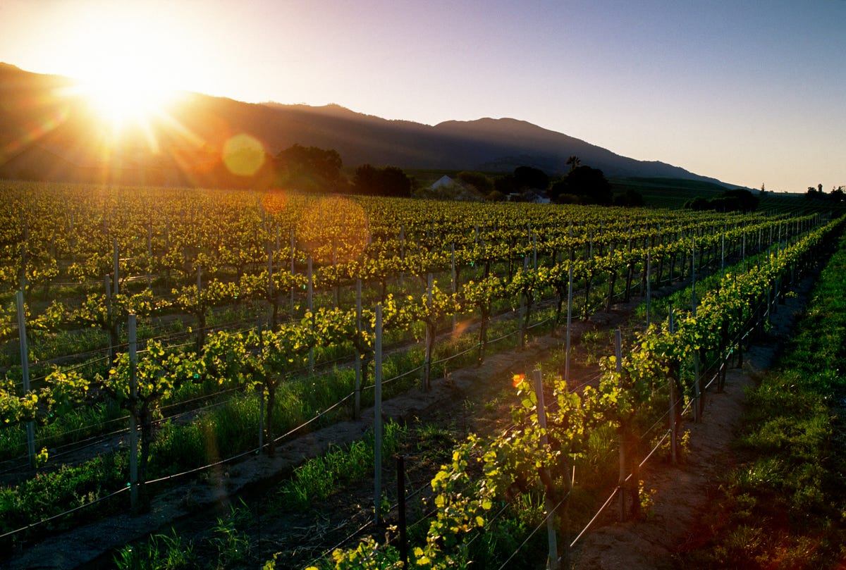 The Best Wineries In The U.S. - Top Wineries In Every State Near You