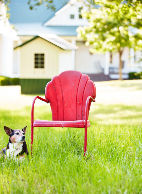 Retro Lawn Chairs Best Metal And Webbed Outdoor Chairs