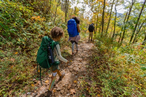 appalachian yolunda kuzey carolina yürüyüşçü grubunu ziyaret edin