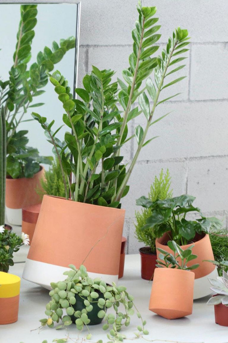 18 Stylish Indoor  Flower Pots  Affordable Indoor  Pots  for 