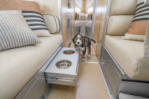 interior of bowlus volterra trailer with cute dog behind roll out food dishes