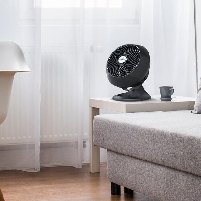 Wayfair fan wayfair fan