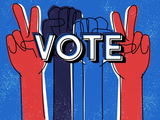 Image result for vote