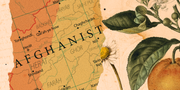 Leaf, Botany, Map, Illustration, Plant, Tree, Adaptation, Plant pathology, Art, Flower, Leaf, Botany, Map, Illustration, Plant, Tree, Adaptation, Plant pathology, Art, Flower,