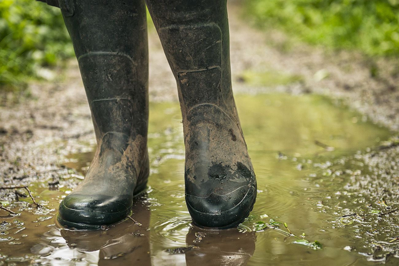 comfortable wellington boots for walking