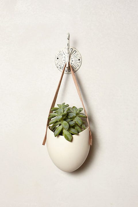 inch 2 frame best Plants Indoor Outdoor House And Wall The For Best Planters inch 2 frame best Plants Indoor Outdoor House And Wall The For Best Planters