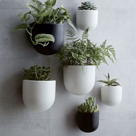 The Best Wall Planters For Outdoor And Indoor House Plants 