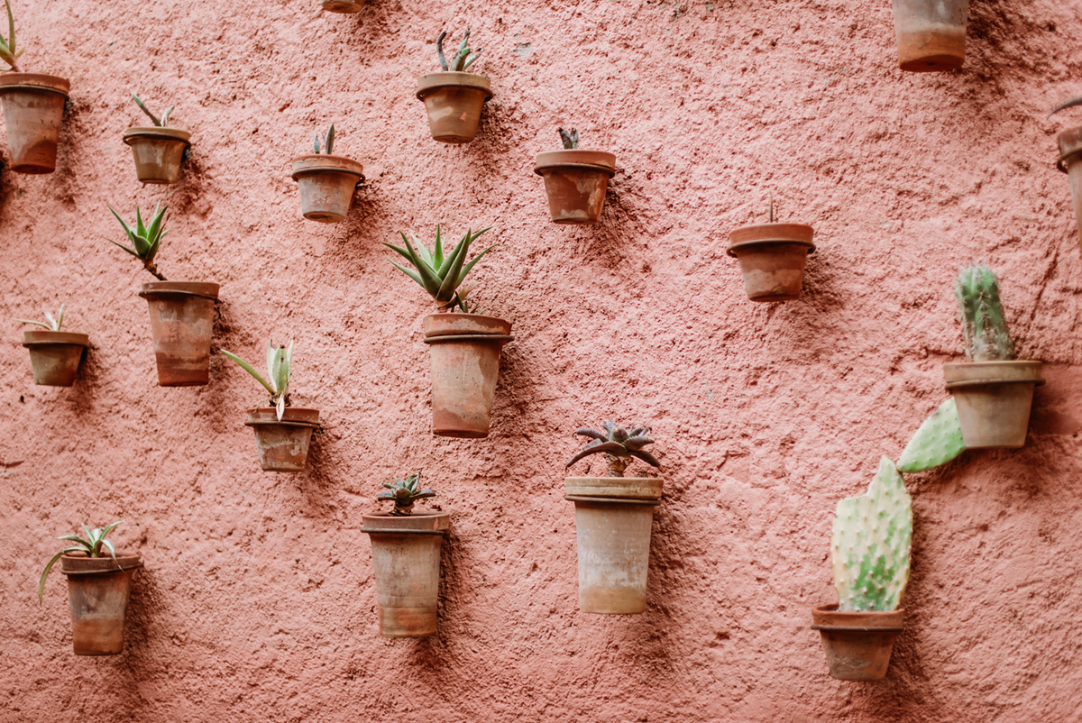 Just the Best Wall Planters to Fill the Empty Space on Your Walls (and in Your Heart)