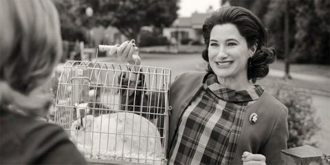 agatha harkness with her rabbit senor scratchy on wandavision