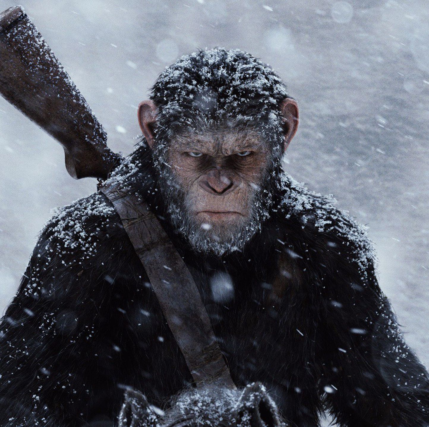 Every 'Planet of the Apes' Movie, Ranked