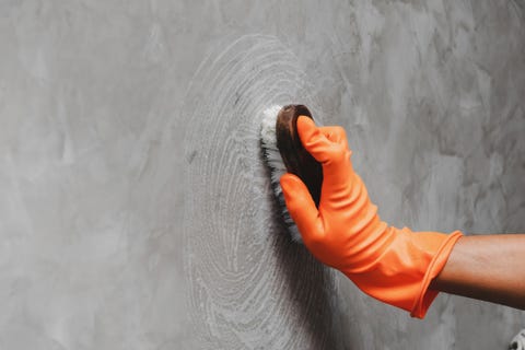 paint over mould in the home painting over mould home