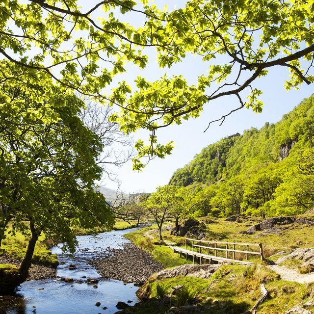 revealed 100 best green spaces in the uk, if you're looking to move