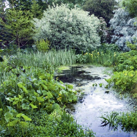 water feature ideas pond