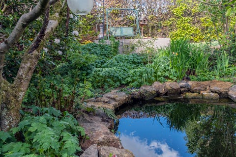 water feature ideas pond