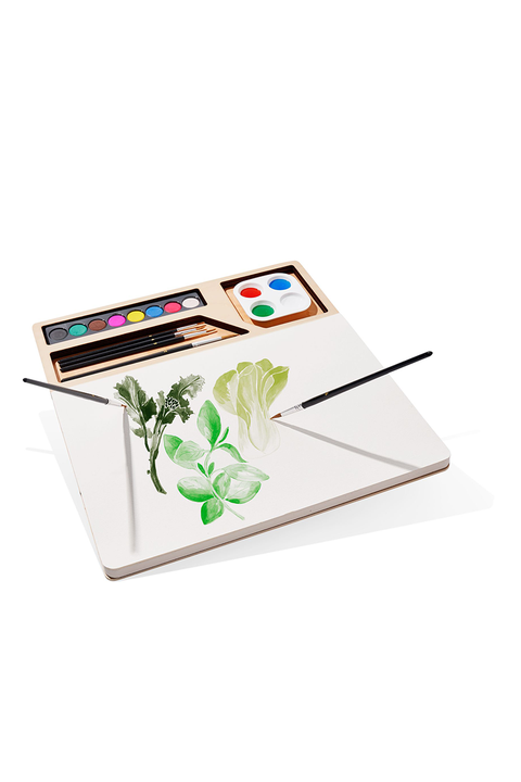 Three by Three Watercolor Set Oprah's Favorite Things Family Gifts