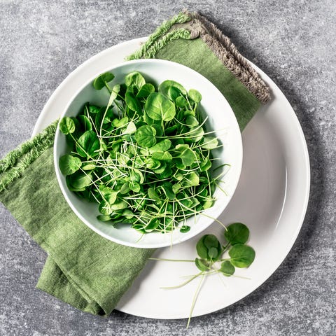 Watercress watercress