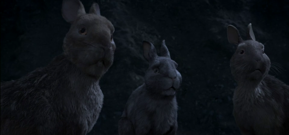 Bbc's Watership Down Remake Traumatises Viewers With Dark Themes