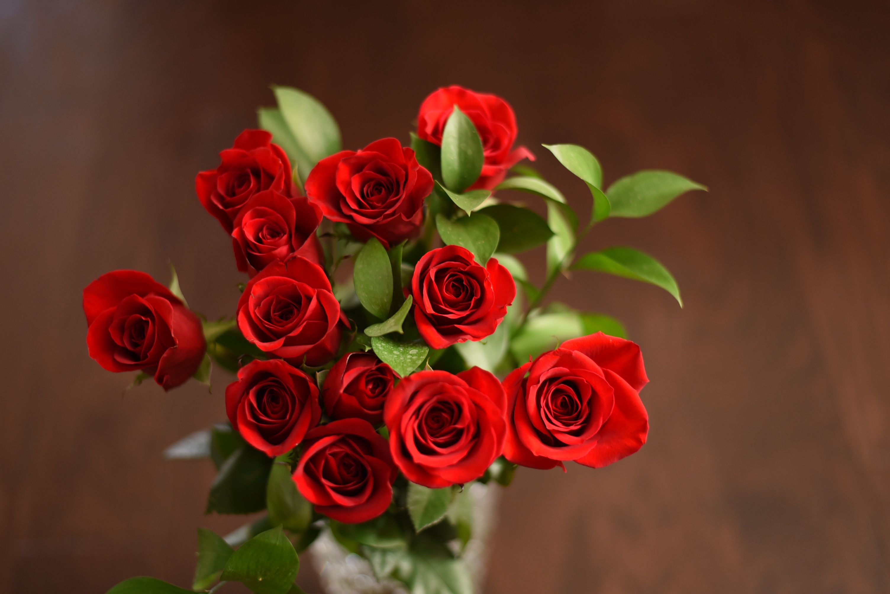6 ways to make your Valentine's Day roses last longer
