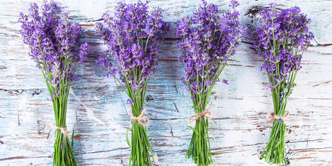 lavender crafts and recipes