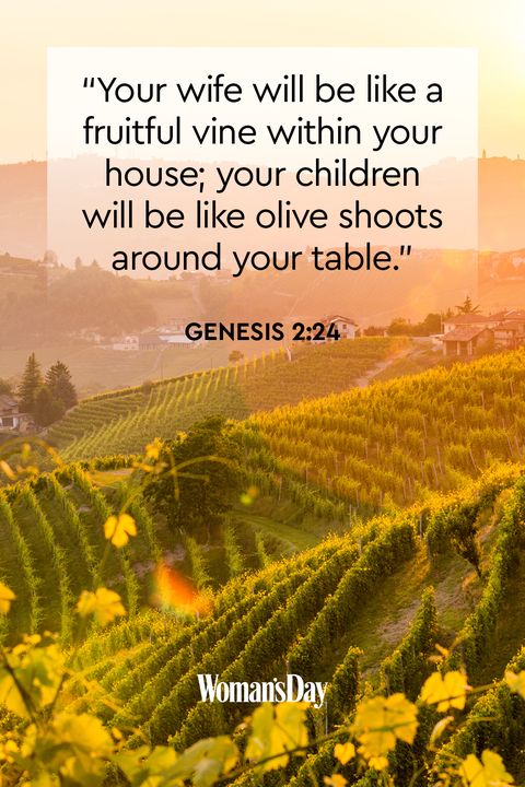 16 Bible Quotes About Family — Bible Verses About Family