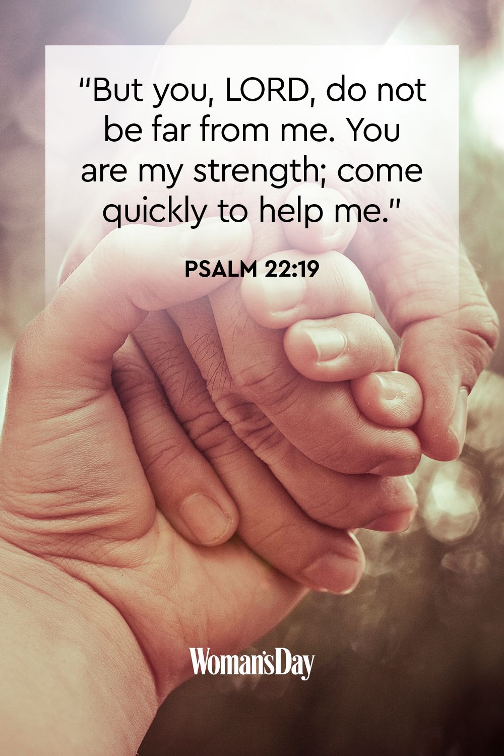 Bible Quotes On Strength Bible Verses About Strength