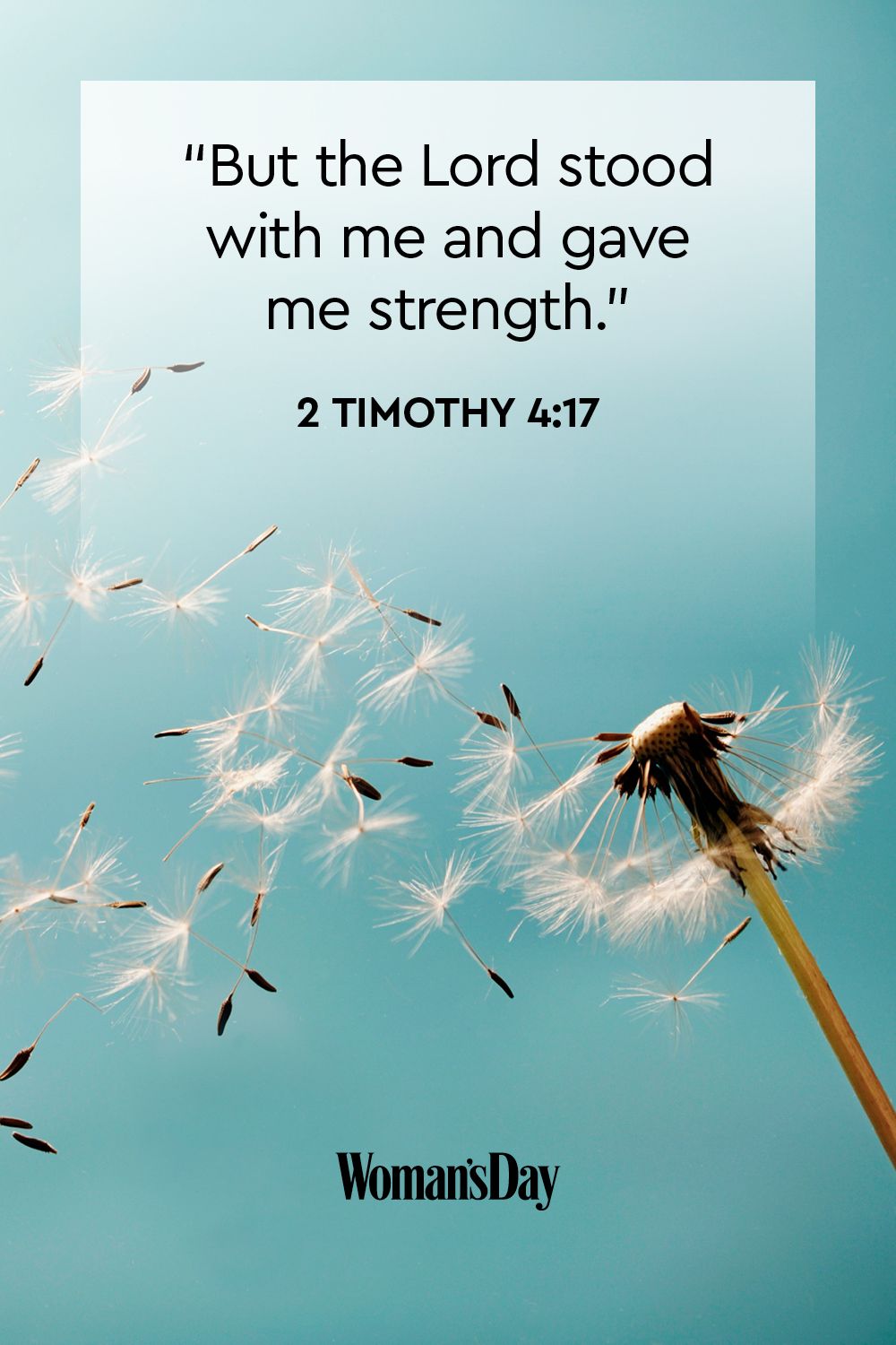 40 Bible Quotes - Bible Scripture Verses of the Day