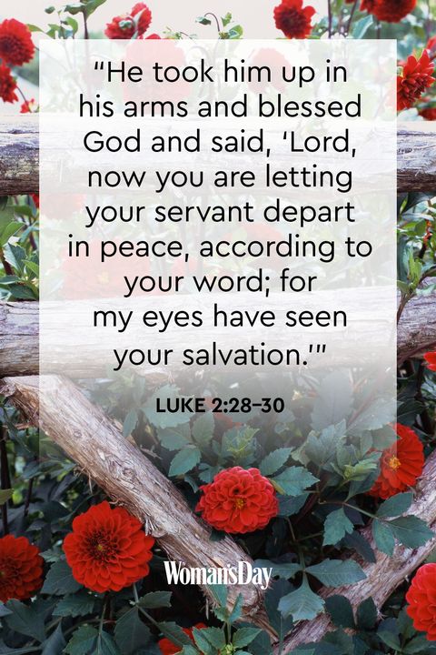 16 Bible Verses About Peace — Quotes and Scriptures About Peace