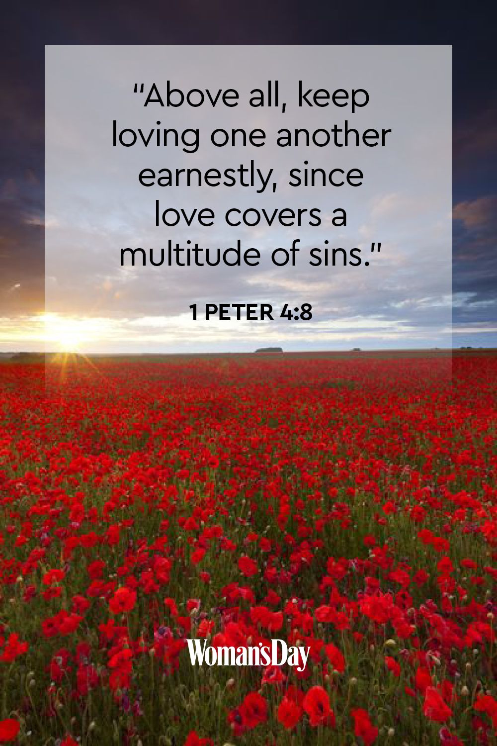 bible quotes about love