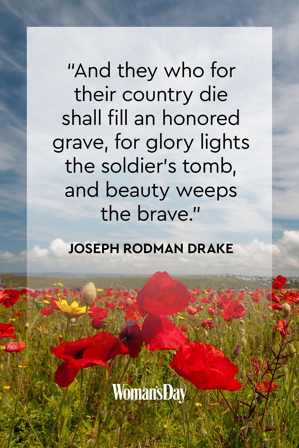remembrance poppy quotes