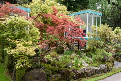 Japanese Garden Ideas How To Plant A, Japanese Garden Plans And Plants