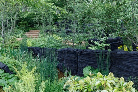Chelsea Flower Show Award Winners 2019 Chelsea Flower Show Award Winners 2019