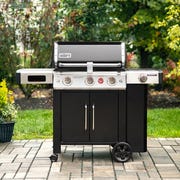 Weber Genesis weber genesis
