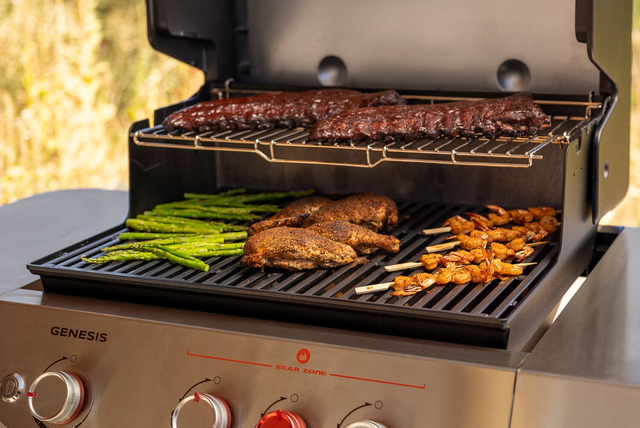 Afwijzen Intrekking geroosterd brood The Best Gas Grill You Can Buy Is $100 Off at Weber