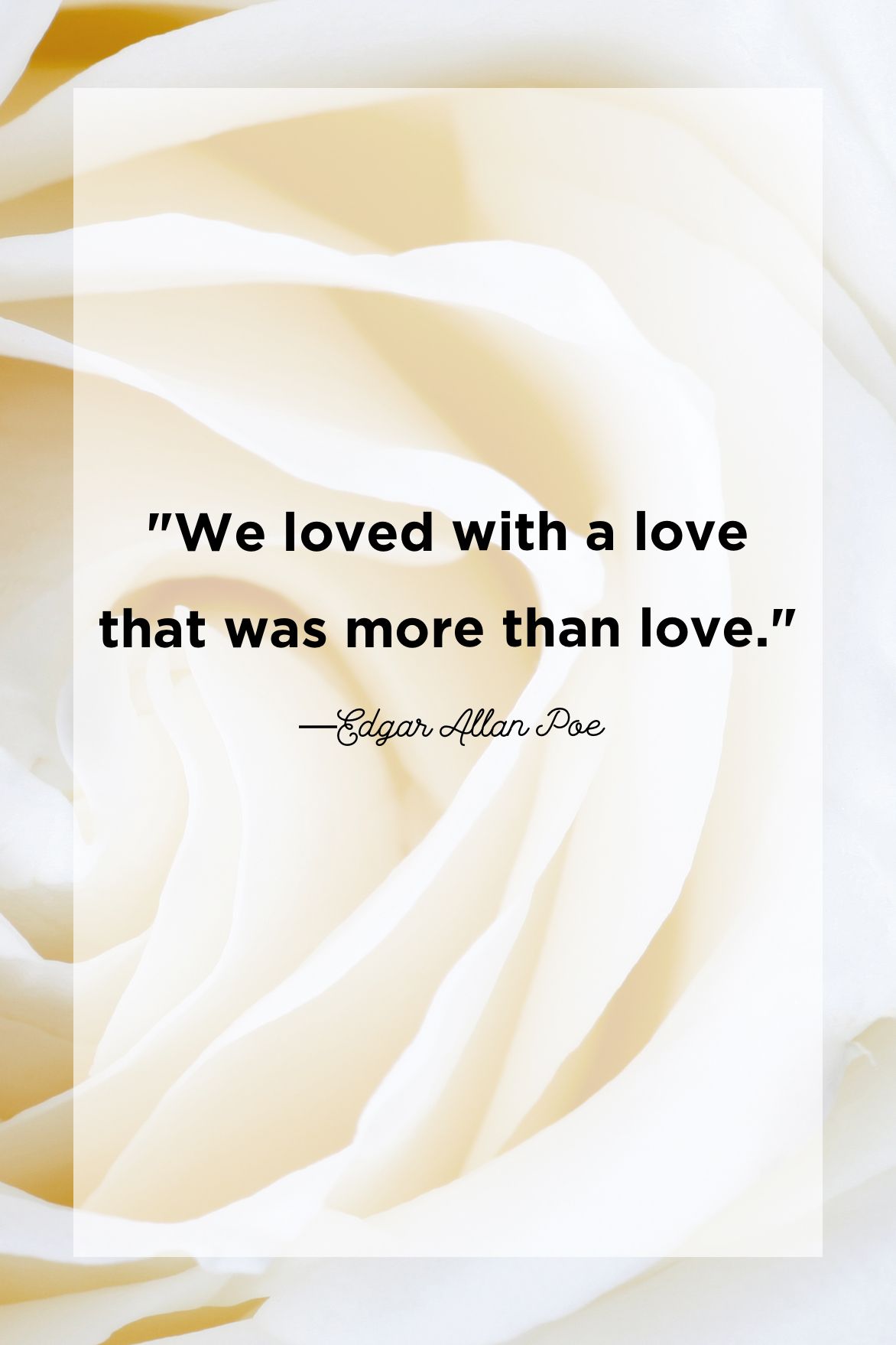 29 Wedding Quotes For Your Special Day The Best Wedding Day Quotes